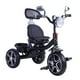 thumbnail image 5 of Triciclo Bluetooth Velocity 2.0 Black, 5 of 5