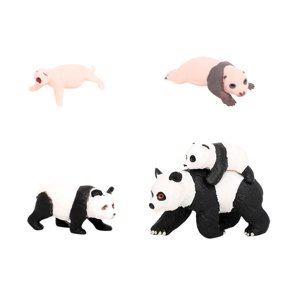 Bothyi - 4 Uds Panda Animal Ciclo De Vida Modelo Juguetes Educativos Fiesta Para Chico Niñas Niños Panda Ciclo De Crecimiento 4