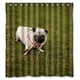 thumbnail image 1 of Cortina de ducha con diseño de animales de Pug, juego de cortinas de baño con ganchos, tamaño 66 x 72 pulgadas, 1 of 3