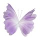 thumbnail image 4 of Mariposa Artificial De Hilo Para Decoración De Bodas, Fiestas, Pasillos, Accesorios De Fotos, Color Violeta, 4 of 5