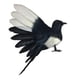 thumbnail image 5 of -Pájaro de simulación, modelo de plumas artificiales, figuras decorativas de pájaros para el hogar, fotografía, utilería, patio, decoración del hogar. Alas extendidas de 18 cm., 5 of 5