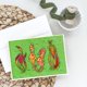 thumbnail image 2 of Paquete de 8 tarjetas de felicitación de 5×7 de Caroline's Treasures, 2 of 2