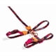 thumbnail image 3 of Zee.dog Harness + Leash Set, 3 of 3