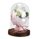 thumbnail image 3 of Ilumina La Rosa En La Cúpula De Cristal Luz LED Flor Artificial Para Mujeres Regalo De Mamá, 3 of 5