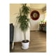 thumbnail image 5 of Set de 2 Maceteros y 2 Platos Biodegradables Actual Blanco, 5 of 5