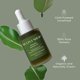 thumbnail image 3 of Hidratante para la Piel Sulina Shop Aceite Orgánico de Tamanu 30 ml, 3 of 8