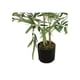 thumbnail image 2 of Planta Artificial Tipo Bamboo. Altura: 120Cm, 2 of 3