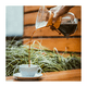 thumbnail image 3 of Cafetera Manual Jarra De Vidrio 800ml Pour Over, 3 of 3
