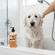 thumbnail image 2 of Super Shampoo De Matico Orgánico 1 Litro Para Mascotas, 2 of 2