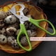 thumbnail image 3 of tijeras para huevos de codorniz, tijeras de acero inoxidable para huevos de codorniz, pequeñas, 3 of 6