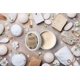 thumbnail image 4 of Etiquetas Avery Round Brown Kraft para imprimir hasta el borde, 2,5 cm, 225 unidades, 4 of 6