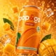 thumbnail image 2 of Pop&Go Bebida Prebiótica Mango Pack 12 Latas x 355 ml – Baja en Azúcar, Vinagre de Manzana, Fibra de Inulina, Vitamina C, Zinc y Magnesio – Vegana y Sin Gluten, 2 of 3
