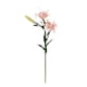 thumbnail image 1 of Accesorios De Bricolaje De Flores De Orquídeas Artificiales Para Centros De Mesa Para El Hogar Arreglos De Boda, 1 of 3