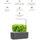 thumbnail image 2 of Kit de huerto de hierbas de interior Click and Grow con luz LED, 2 of 9