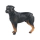 thumbnail image 5 of Modelos De Estatuillas De Perros Emulacionales Pintados A Mano Para Decoración De Fiestas Temáticas Rottweiler, 5 of 5