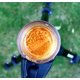thumbnail image 4 of Cafetera Cafflano Kompresso portátil 17 cm, 4 of 9