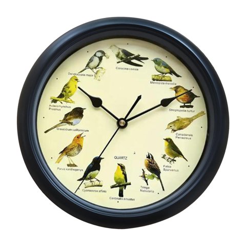 Bothyi - Reloj Musical De Pared Con Sonido De Pájaros, Funciona Con Pilas, Para Decoración Interior Del Hogar, Negro, 25Cm