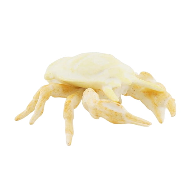 Juguetes modelo de simulación realista, figuras de animales marinos, modelo educativo de animales marinos de forma vívida para el aprendizaje temprano cangrejos