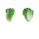 thumbnail image 5 of 2 Unids Artificial LifeLike Fake Fous Vegetal Decoration Props Modelo Green, 5 of 6