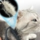 thumbnail image 3 of Set 3 Cepillo Corto Pelo Deslanador Mascotas Hogar Lau, 3 of 3
