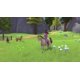 thumbnail image 2 of Videojuego Barbie Horse Trails para Xbox Series X y One, 2 of 5