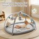 thumbnail image 2 of Gimnasio de Juego para Bebé TinyThrive 91x73 cm 5 Juguetes Gris, 2 of 8