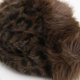 thumbnail image 3 of Gorro Ruso Mujer Peludo Animal Print Invierno Suave Abrigado cafe Talla Única, 3 of 4
