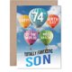thumbnail image 1 of Tarjeta de felicitación con diseño de globo aerostático para cumpleaños número 74 de Giftzie Son, 1 of 7