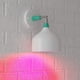 thumbnail image 1 of Ampolleta LED A19 Roja E26 9W No Regulable Pack 2, 1 of 3