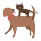 thumbnail image 1 of AGILITY PERRO ADULTO TALLA PEQUENA 1,5LKG, 1 of 1