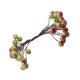 thumbnail image 5 of 200 Piezas De Espuma Artificial Holly Berry Flower Pearl Double Head Decor Green, 5 of 5