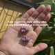 thumbnail image 2 of Gominolas De Crecimiento Truheight Con Sabor A Uva Para Niños Y Adolescentes Mayores De 5 Años, 2 of 3