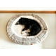 thumbnail image 3 of Cama Ulmo Premium Gris M Dog Republic, 3 of 6