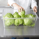 thumbnail image 3 of Caja De Alimentos Policarbonato 66x46x24 Cm, 3 of 10