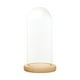 thumbnail image 1 of Cúpula De Cristal Transparente Cloche Decoración De Casa De Muñecas Adorno DIY Cúpula Transparente Cloche 12cmx28cmx14cm, 1 of 3