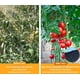 thumbnail image 5 of Malla De Sombra 4.2m,alta Densidad 80%para Sombra Y Privacid, 5 of 7