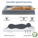 thumbnail image 3 of Cama para perros WNPETHOME Giant, lavable con funda impermeable, 170 libras, 3 of 7