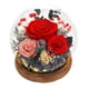thumbnail image 1 of Regalos de San Valentín para sus flores conservadas en cúpula de vidrio Rosas eternas de larga duración Regalos de cumpleaños para mujeres Mamá Abuela Esposa Novia Flores rojas para siempre, 1 of 3