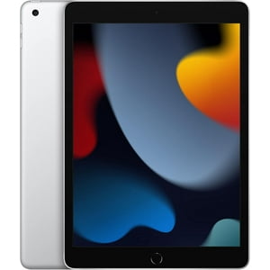 Apple Ipad 9ª Gen 10.2 Wi-Fi 256 Gb Plateado (Reacondicionado)