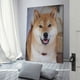 thumbnail image 3 of Cuadro Decorativo Shiba Inu Enmarcado 40x60 cm, 3 of 6