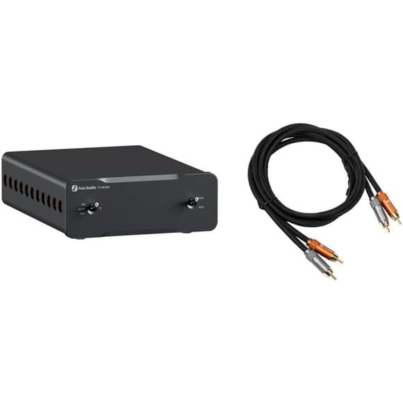 Amplificador Mono Fosi Audio V3 240W HiFi con Cable RCA