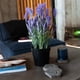 thumbnail image 2 of Lavanda lila de 35 cm en macetero, 2 of 2