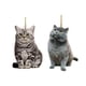thumbnail image 3 of 2x Accesorios Colgantes Para Espejo Retrovisor De Coche Colgante Animal, 3 of 5