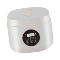 Bothyi - Olla Arrocera Portátil Con Temporizador De 12 Horas Y Función De Calentamiento Automático. Olla De Cocción Lenta Para Freír Huevos Y Pasta.