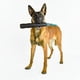 thumbnail image 2 of Juguete Perro Mammoth TireBiter Advanced 28cm Goma Mango Cuerda, 2 of 3