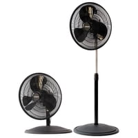 Thorben - Ventilador 2 En 1 Thor Dual Fan 16