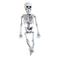 Magideal - Esqueleto De Halloween De 16 Pulgadas, Articulaciones Flexibles, Decoración De Halloween, Modelo De Esqueleto Para Recuerdos De Césped, Decoración De
