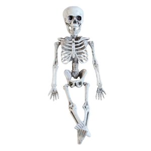 Magideal - Esqueleto De Halloween De 16 Pulgadas, Articulaciones Flexibles, Decoración De Halloween, Modelo De Esqueleto Para Recuerdos De Césped, Decoración De