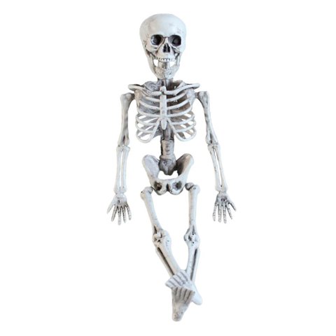 Magideal - Esqueleto De Halloween De 16 Pulgadas, Articulaciones Flexibles, Decoración De Halloween, Modelo De Esqueleto Para Recuerdos De Césped, Decoración De