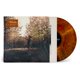 thumbnail image 1 of Disco de vinilo The Orchard – I Believe in You, 1 of 1